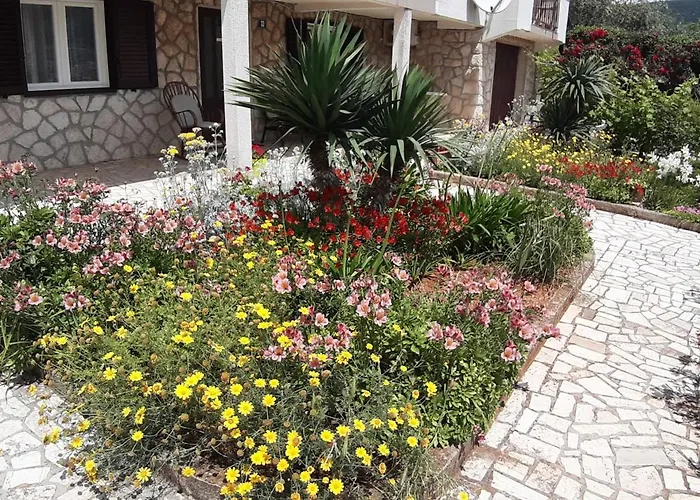 Apartmani Ana