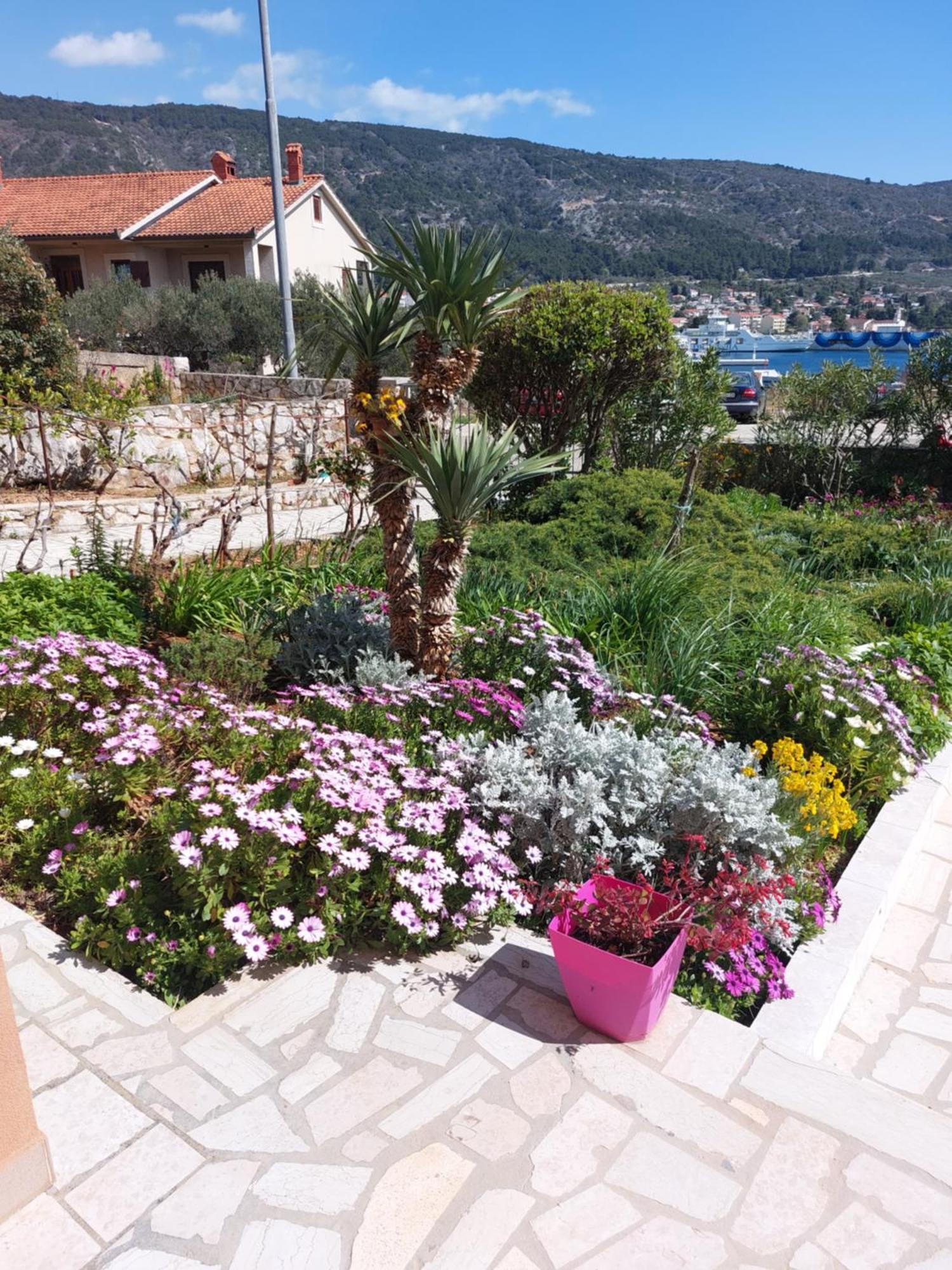 Apartment Ana Cres